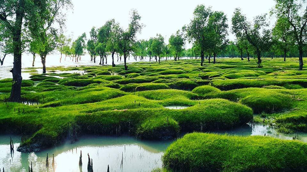 গুলিয়াখালী সমুদ্র সৈকত