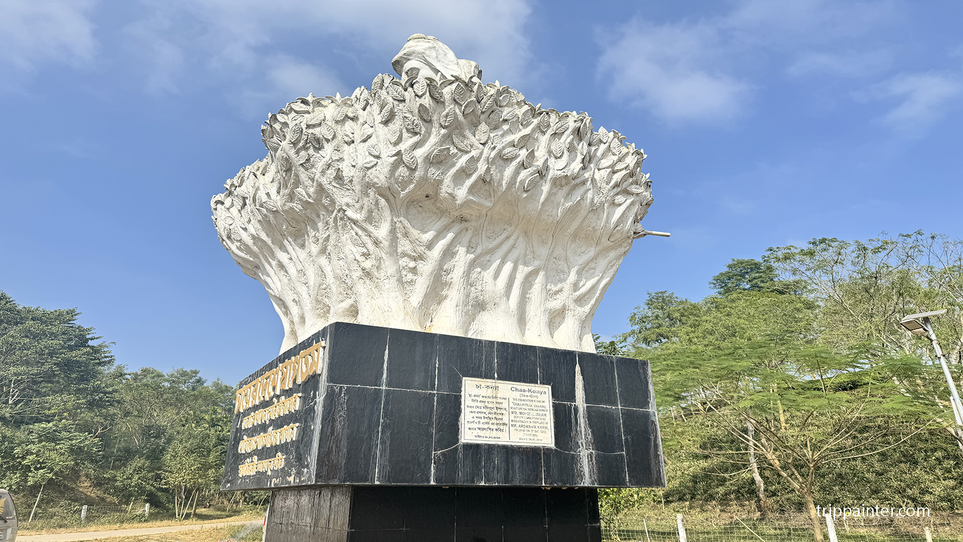 শ্রীমঙ্গল ট্যুর প্ল্যান