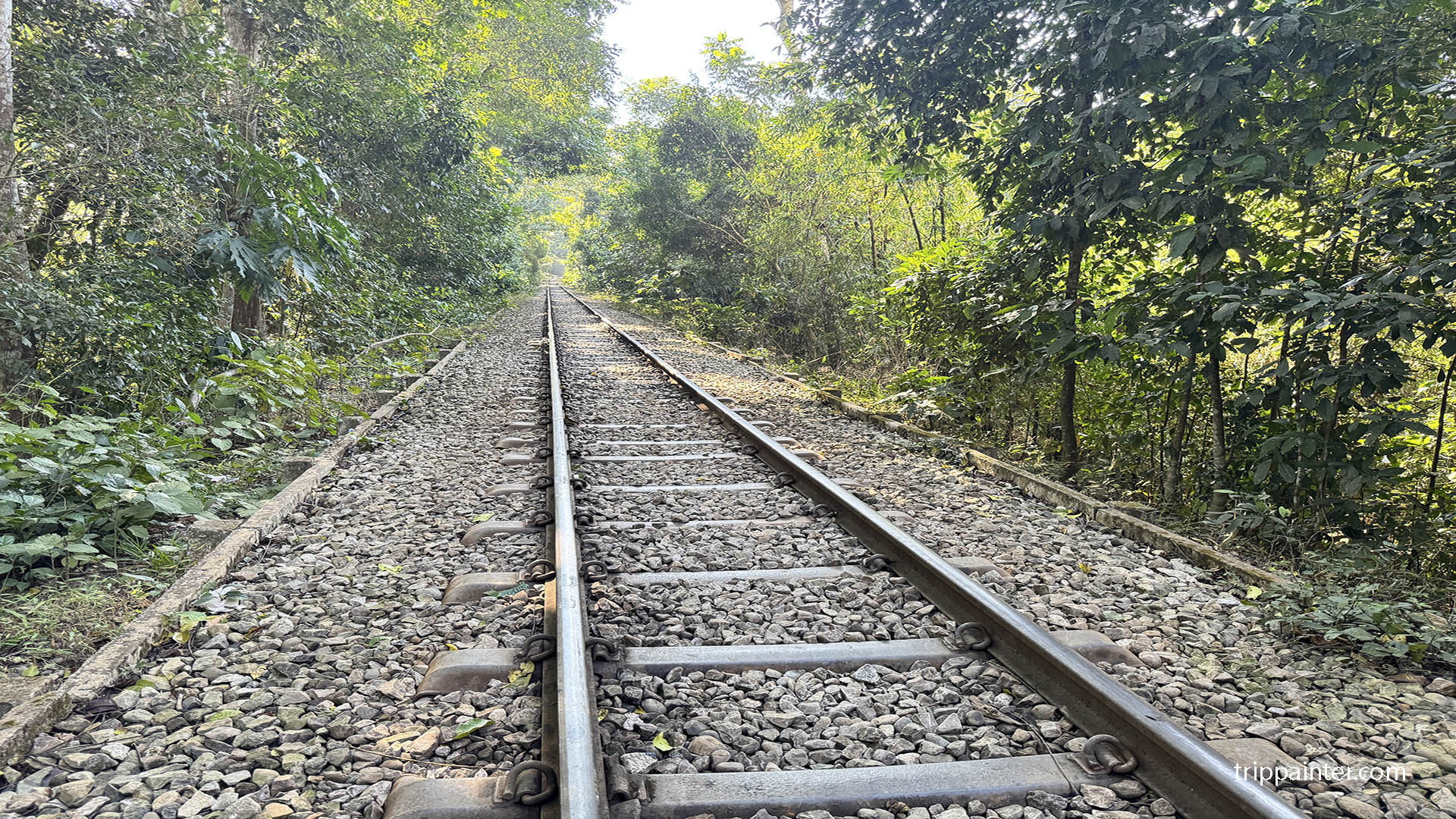 শ্রীমঙ্গল ট্যুর প্ল্যান