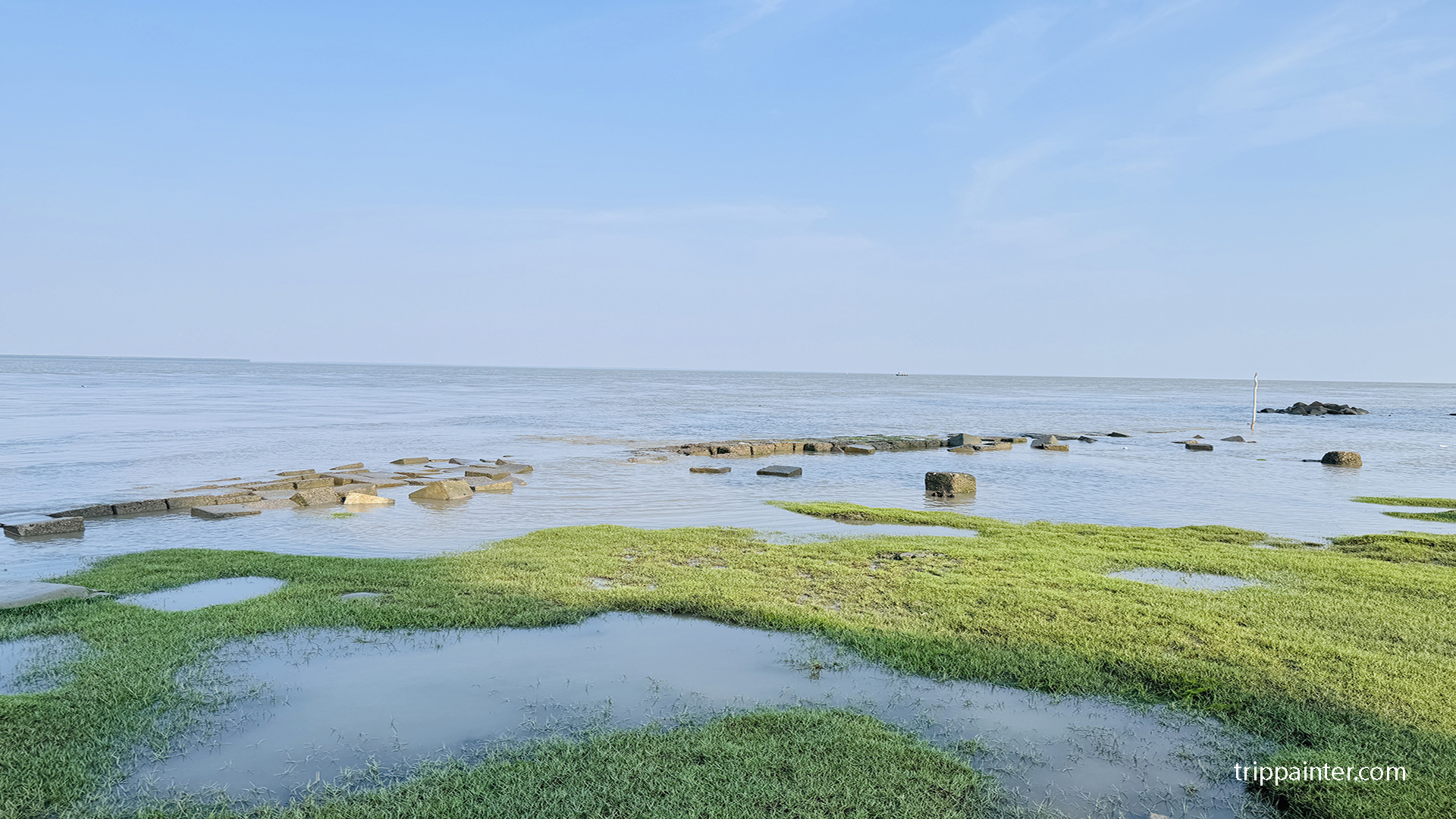 বেতুয়া পার্ক চরফ্যাশন